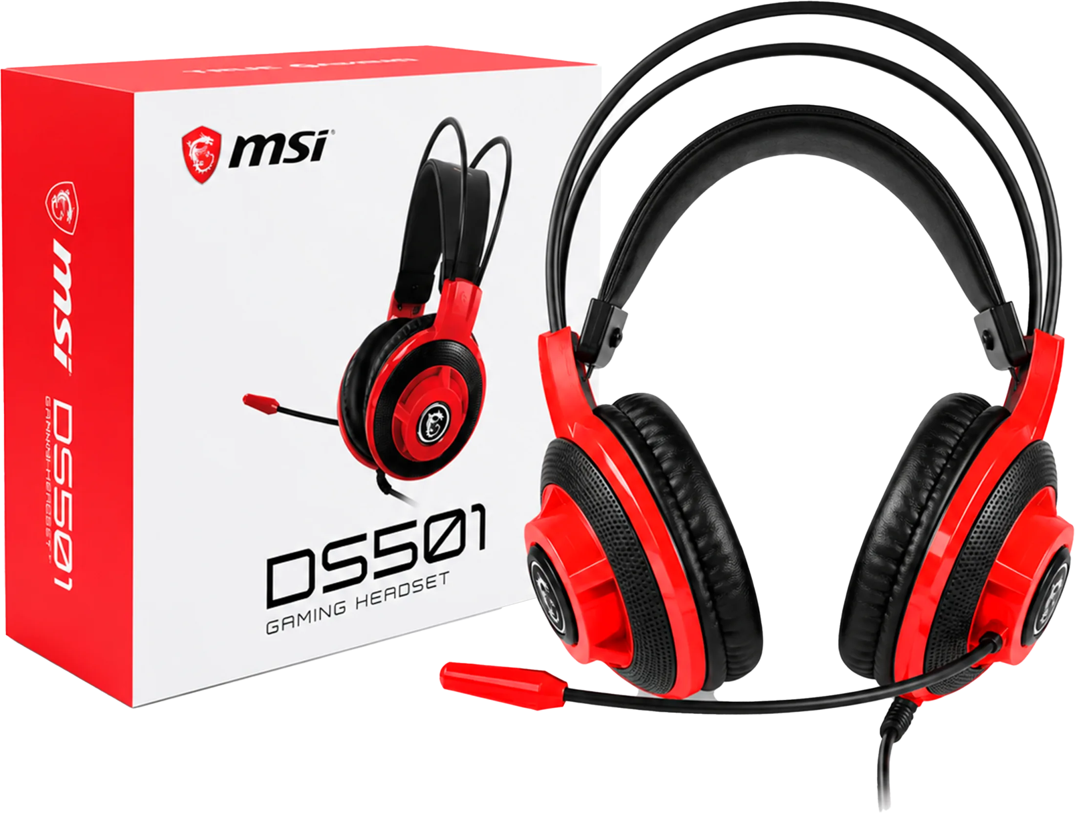MSI DS501